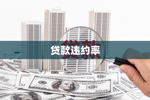 汉阳贷款违约率