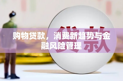汉阳购物贷款，消费新趋势与金融风险管理