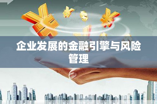 汉阳企业发展的金融引擎与风险管理