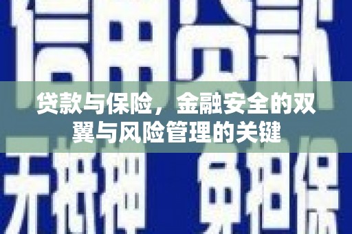 汉阳贷款与保险，金融安全的双翼与风险管理的关键
