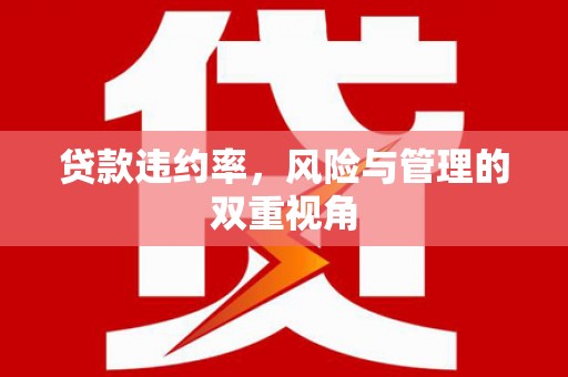 汉阳贷款违约率，风险与管理的双重视角
