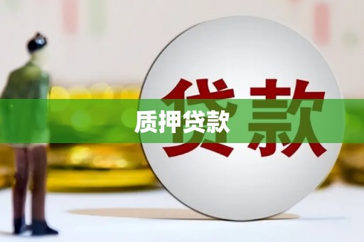 汉阳质押贷款