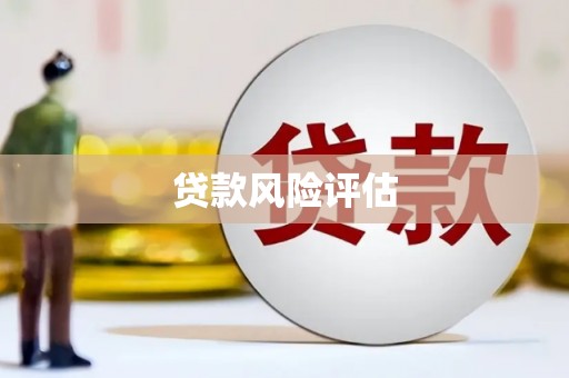 汉阳贷款风险评估