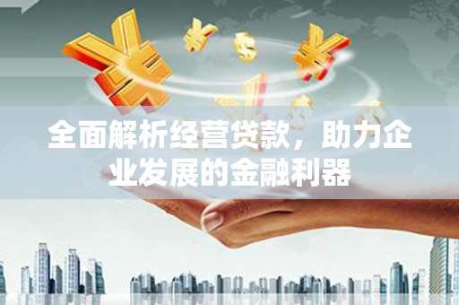 汉阳全面解析经营贷款，助力企业发展的金融利器