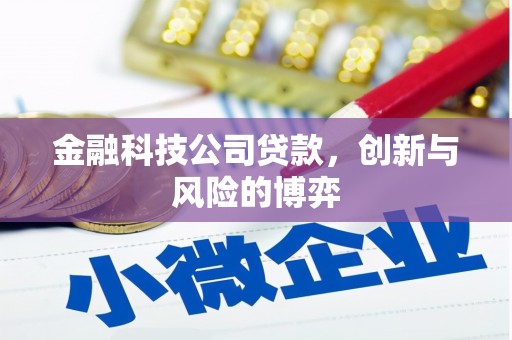 汉阳金融科技公司贷款，创新与风险的博弈