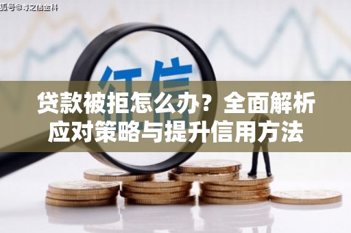 汉阳贷款被拒怎么办？全面解析应对策略与提升信用方法