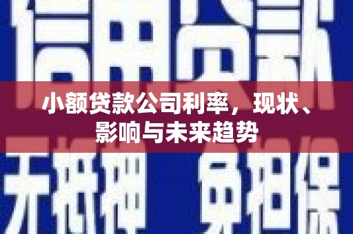 汉阳小额贷款公司利率，现状、影响与未来趋势