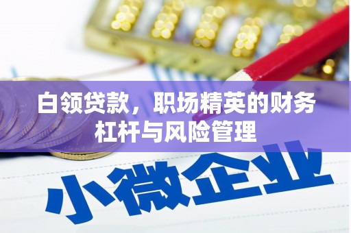 汉阳白领贷款，职场精英的财务杠杆与风险管理