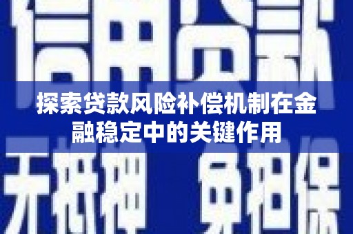 汉阳探索贷款风险补偿机制在金融稳定中的关键作用