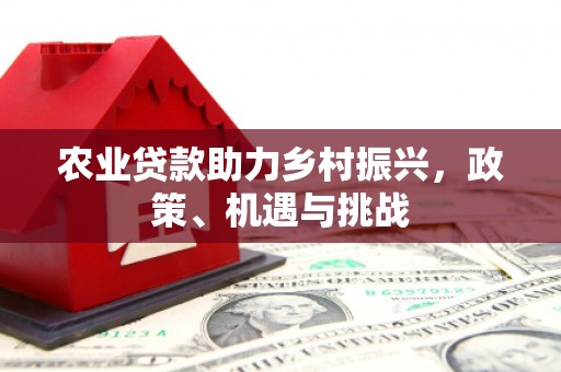 汉阳农业贷款助力乡村振兴，政策、机遇与挑战