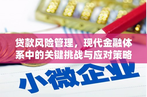汉阳贷款风险管理，现代金融体系中的关键挑战与应对策略