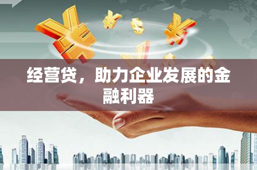 汉阳经营贷，助力企业发展的金融利器