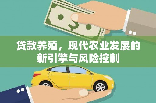 汉阳贷款养殖，现代农业发展的新引擎与风险控制