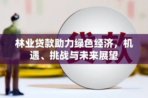 汉阳林业贷款助力绿色经济，机遇、挑战与未来展望