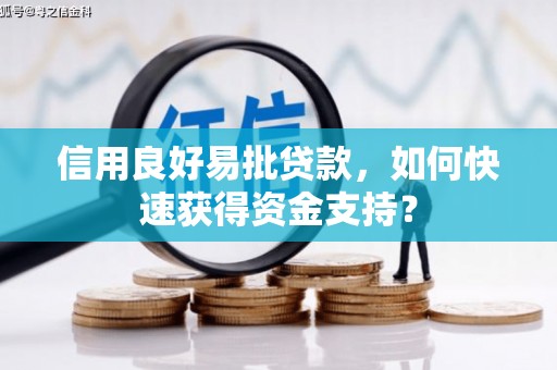 汉阳信用良好易批贷款，如何快速获得资金支持？