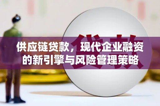 汉阳供应链贷款，现代企业融资的新引擎与风险管理策略