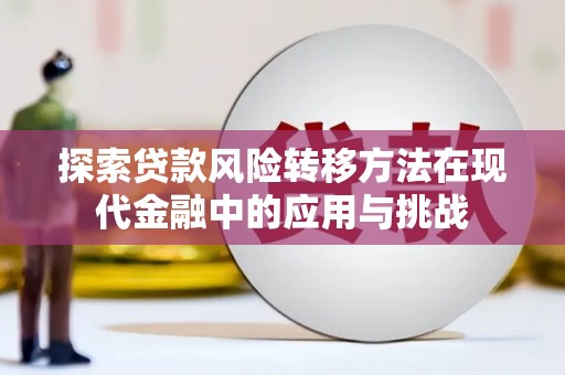汉阳探索贷款风险转移方法在现代金融中的应用与挑战