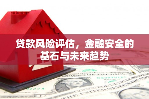 汉阳贷款风险评估，金融安全的基石与未来趋势