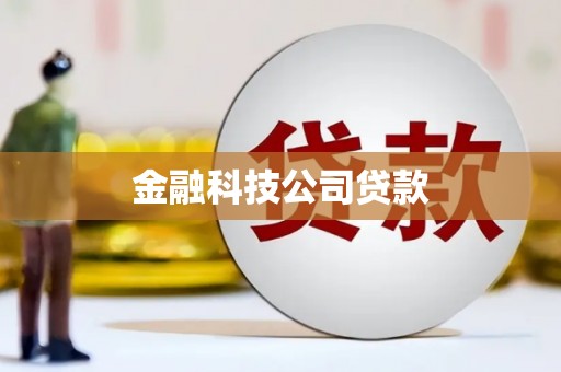 汉阳金融科技公司贷款