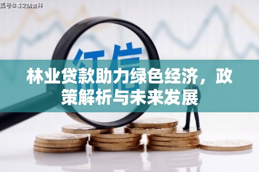 汉阳林业贷款助力绿色经济，政策解析与未来发展