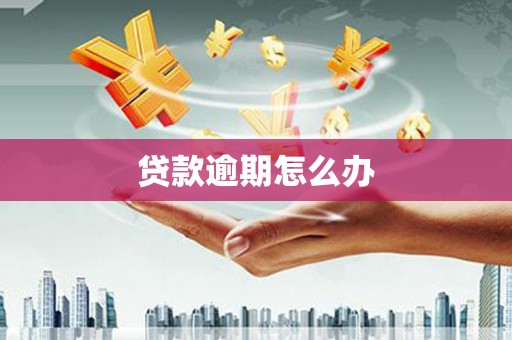 汉阳贷款逾期怎么办