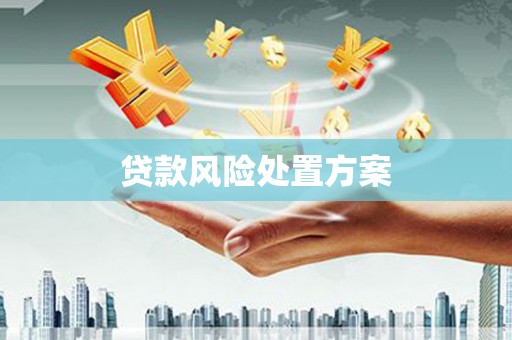 汉阳贷款风险处置方案