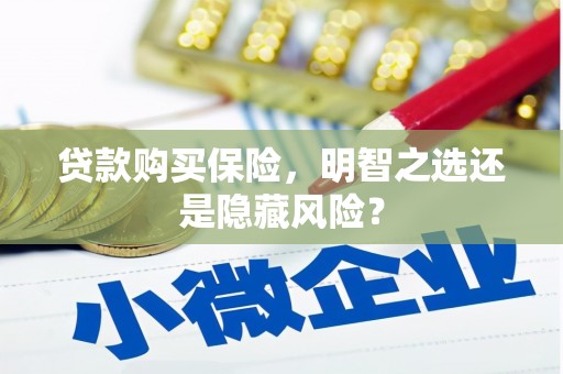 汉阳贷款购买保险，明智之选还是隐藏风险？