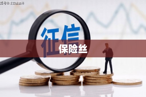 汉阳保险丝