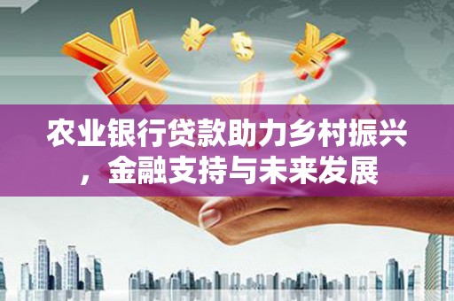 汉阳农业银行贷款助力乡村振兴，金融支持与未来发展