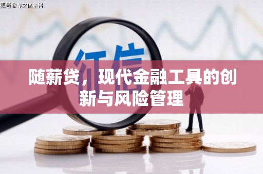 汉阳随薪贷，现代金融工具的创新与风险管理