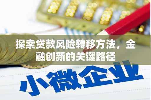汉阳探索贷款风险转移方法，金融创新的关键路径