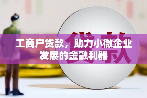 汉阳工商户贷款，助力小微企业发展的金融利器