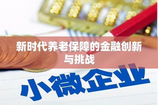 汉阳新时代养老保障的金融创新与挑战