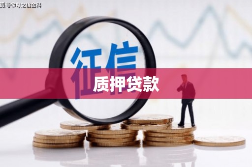 汉阳质押贷款