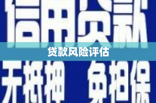 汉阳贷款风险评估