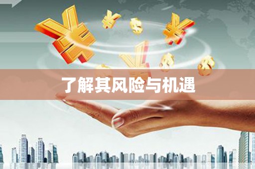 汉阳了解其风险与机遇