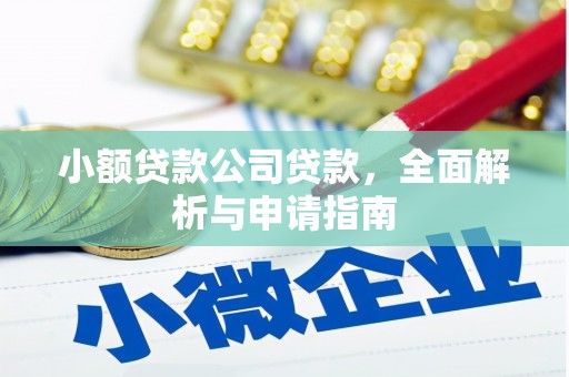 汉阳小额贷款公司贷款，全面解析与申请指南