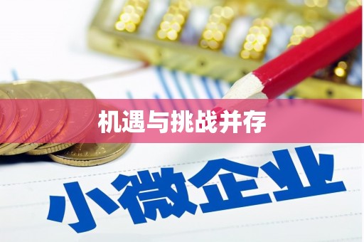 汉阳机遇与挑战并存