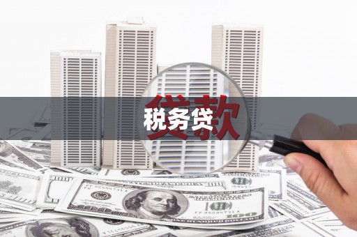 汉阳税务贷