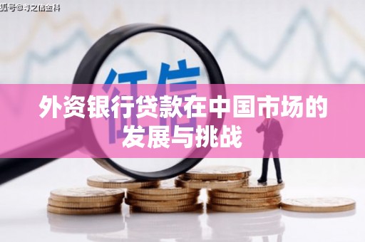 汉阳外资银行贷款在中国市场的发展与挑战