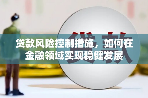 汉阳贷款风险控制措施，如何在金融领域实现稳健发展
