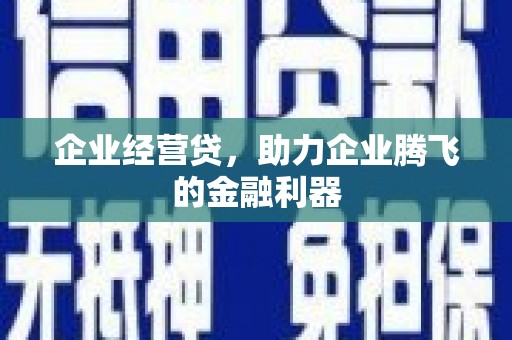 汉阳企业经营贷，助力企业腾飞的金融利器