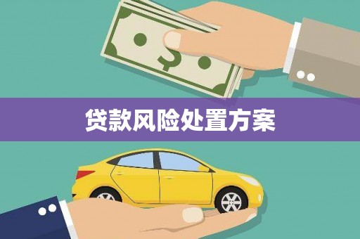 汉阳贷款风险处置方案
