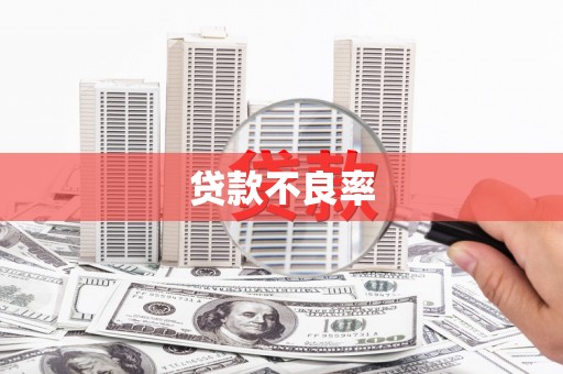 汉阳贷款不良率