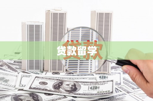 汉阳贷款留学