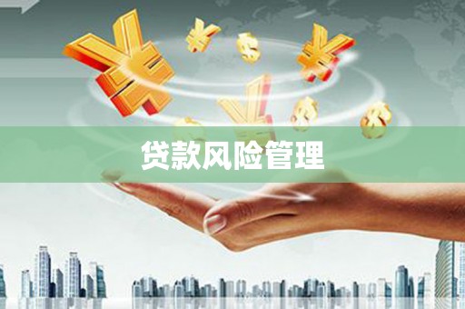 汉阳贷款风险管理