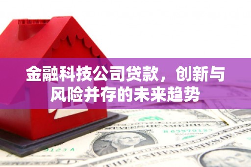 汉阳金融科技公司贷款，创新与风险并存的未来趋势