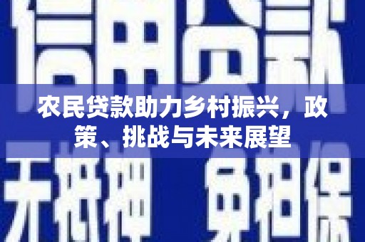 汉阳农民贷款助力乡村振兴，政策、挑战与未来展望