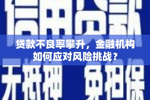 汉阳贷款不良率攀升，金融机构如何应对风险挑战？