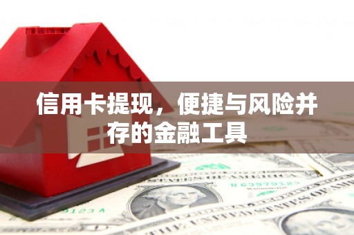 汉阳信用卡提现，便捷与风险并存的金融工具
